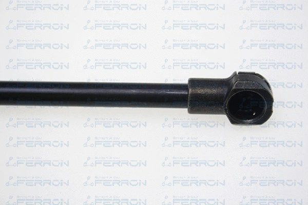 Gas Spring, boot/cargo area