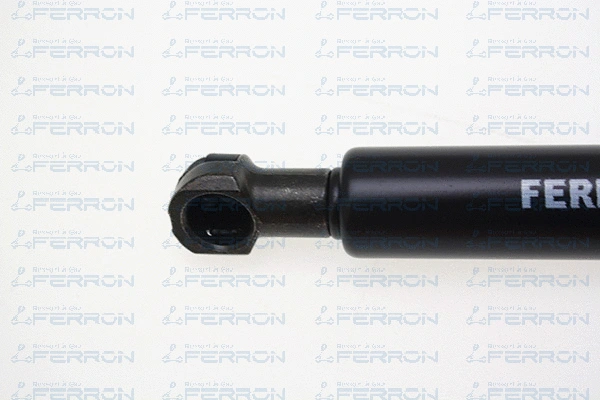 Gas Spring, boot/cargo area