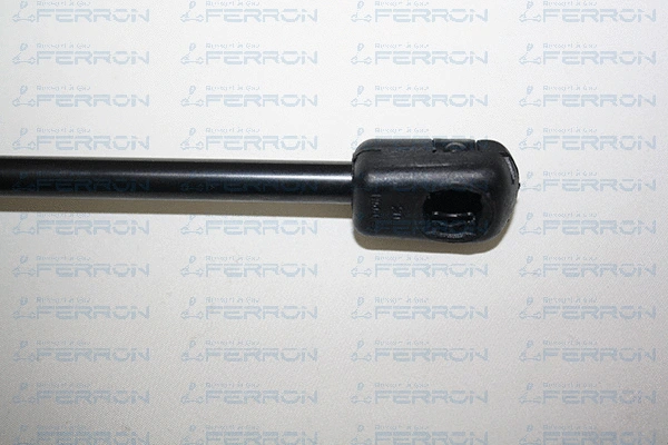 Gas Spring, boot/cargo area