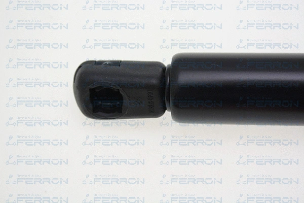 Gas Spring, boot/cargo area