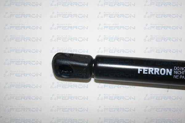 Gas Spring, boot/cargo area