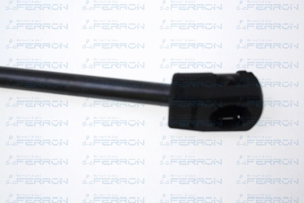 Gas Spring, bonnet