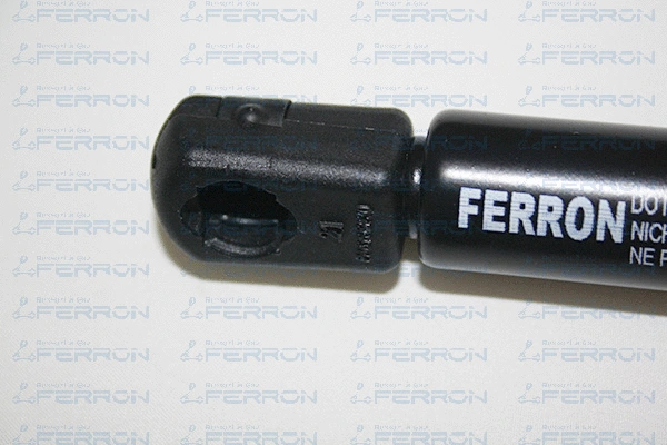 Gas Spring, boot/cargo area