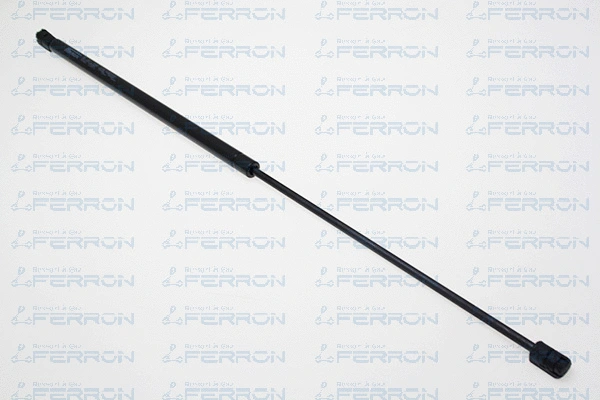 Gas Spring, bonnet (1569)