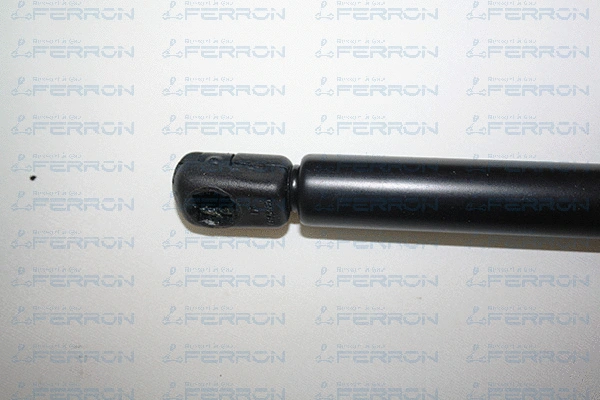 Gas Spring, bonnet