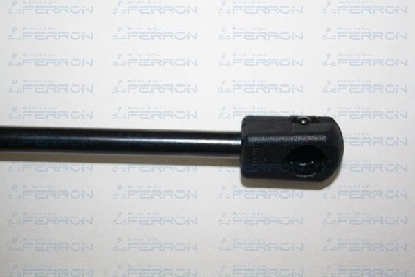 Gas Spring, boot/cargo area