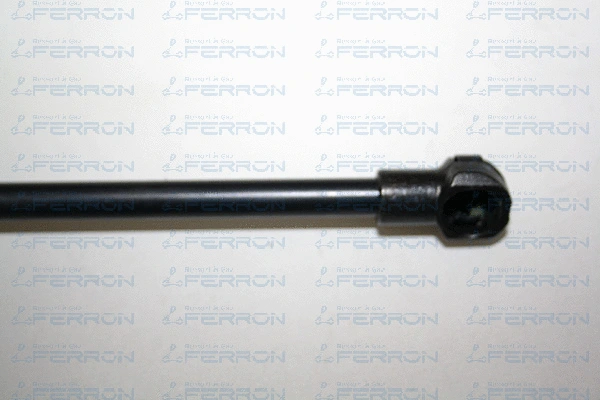Gas Spring, boot/cargo area
