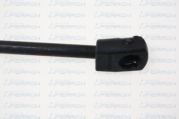 Gas Spring, bonnet