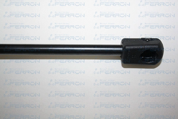 Gas Spring, boot/cargo area