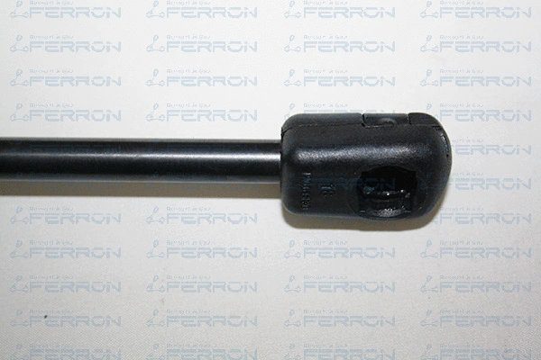Gas Spring, boot/cargo area