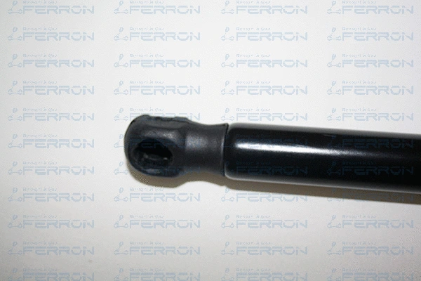 Gas Spring, boot/cargo area