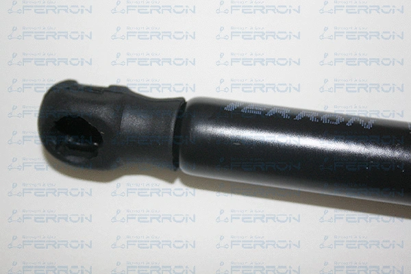 Gas Spring, boot/cargo area
