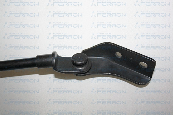 Gas Spring, boot/cargo area