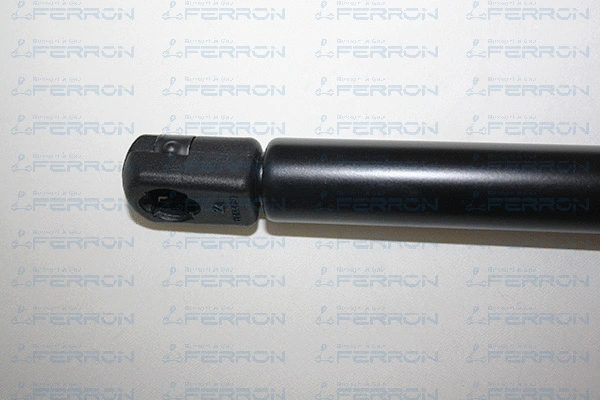 Gas Spring, boot/cargo area