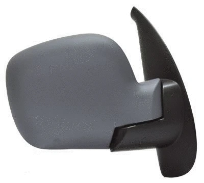 Exterior Mirror (11RN91803)