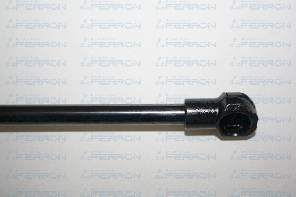Gas Spring, boot/cargo area