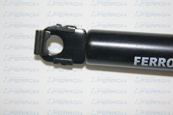 Gas Spring, bonnet