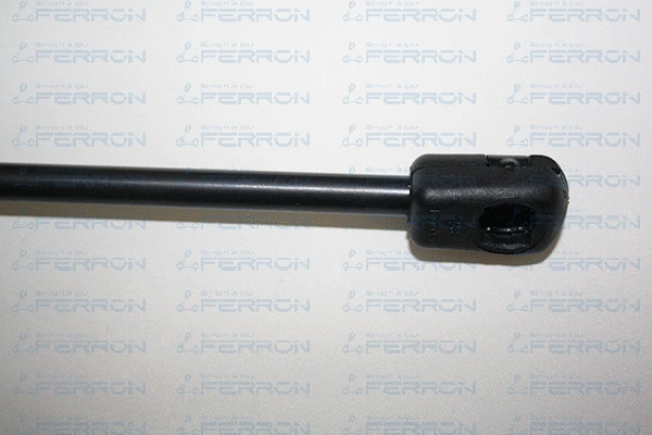 Gas Spring, boot/cargo area
