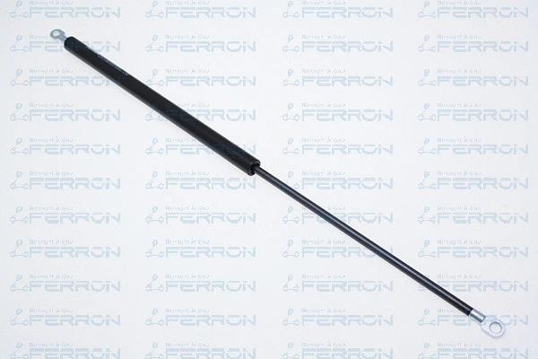 Gas Spring, boot/cargo area (31)