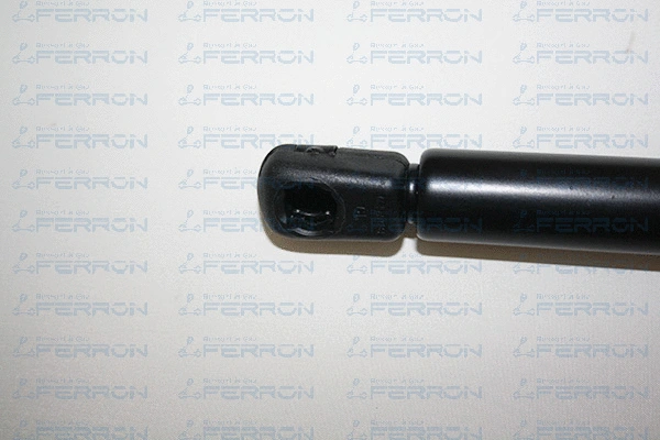 Gas Spring, boot/cargo area
