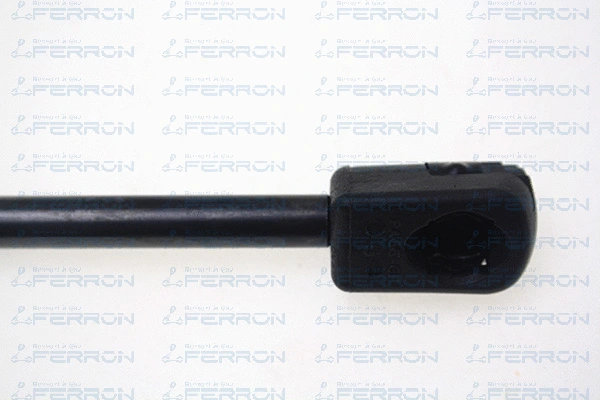 Gas Spring, boot/cargo area
