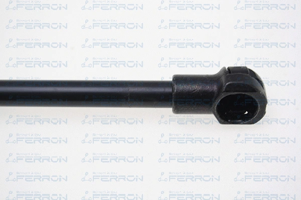 Gas Spring, boot/cargo area
