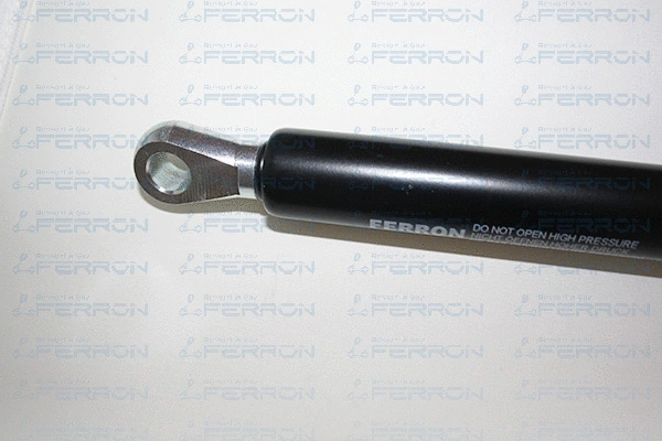 Gas Spring, boot/cargo area