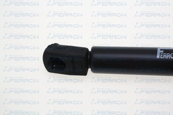 Gas Spring, boot/cargo area