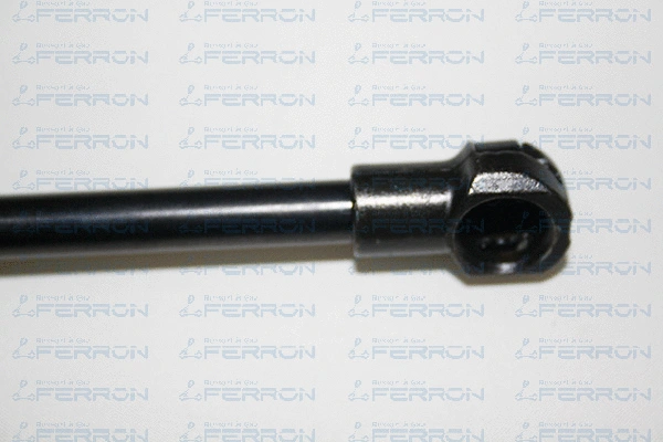 Gas Spring, boot/cargo area