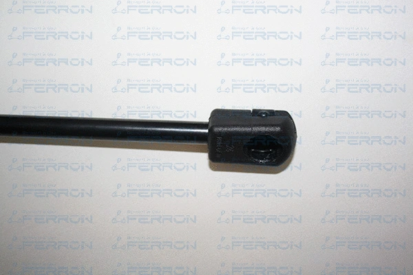Gas Spring, boot/cargo area