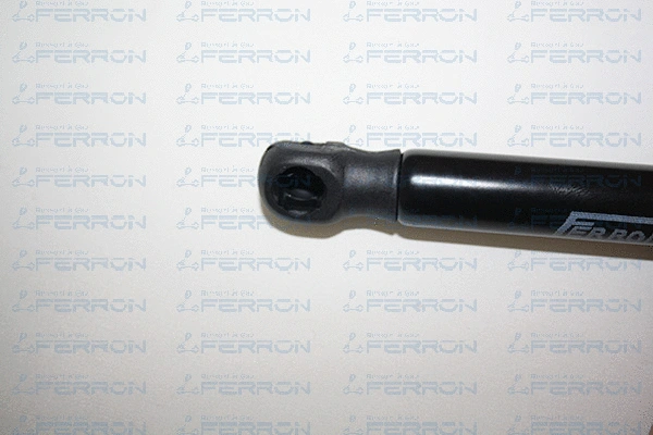 Gas Spring, boot/cargo area