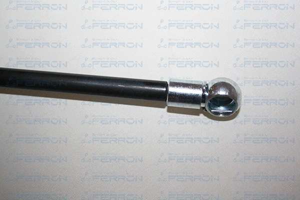 Gas Spring, boot/cargo area