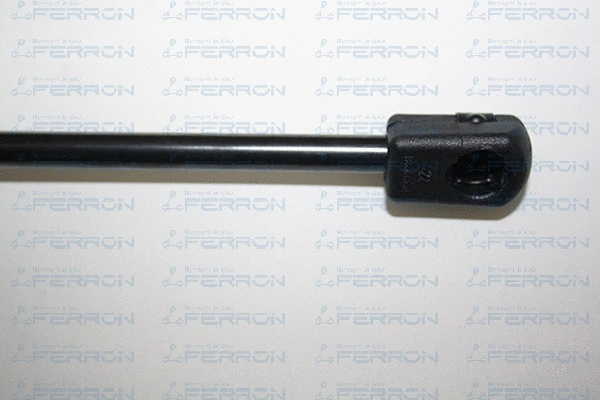 Gas Spring, boot/cargo area