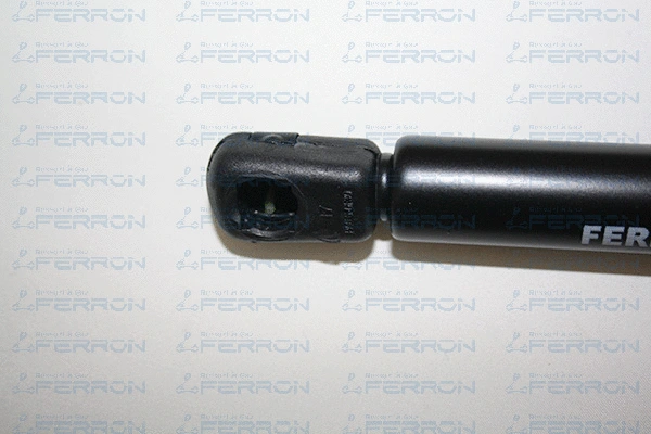 Gas Spring, boot/cargo area