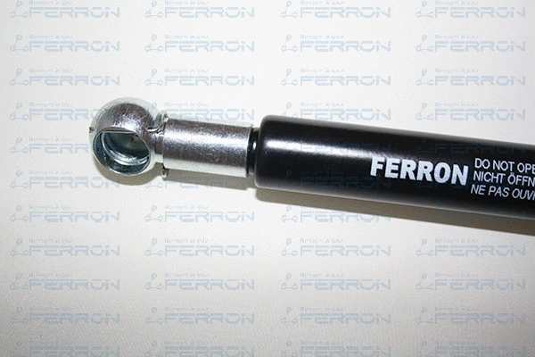 Gas Spring, boot/cargo area