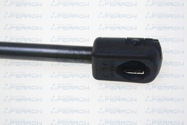 Gas Spring, bonnet