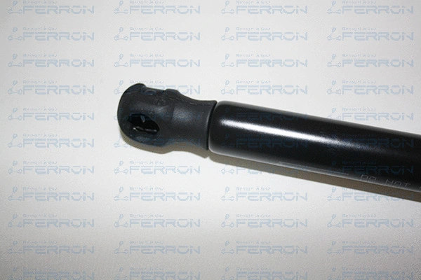 Gas Spring, boot/cargo area