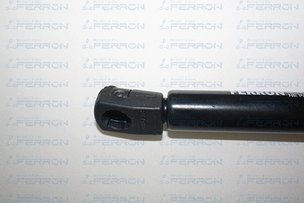 Gas Spring, boot/cargo area