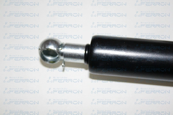 Gas Spring, bonnet