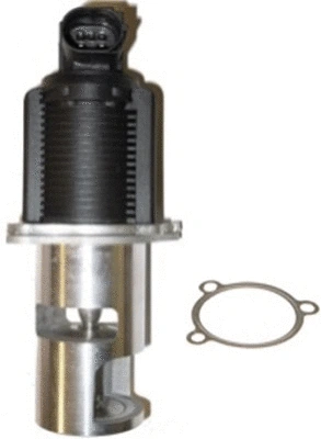 EGR Valve (TOP11450016)