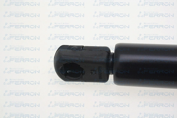 Gas Spring, boot/cargo area