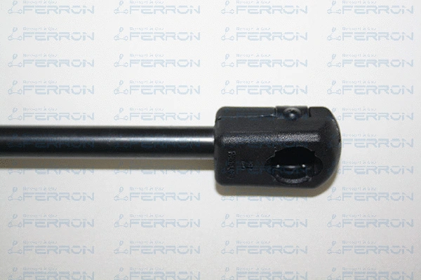 Gas Spring, boot/cargo area