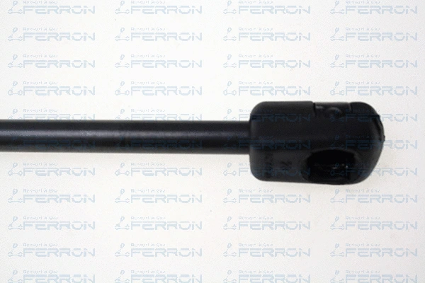 Gas Spring, boot/cargo area