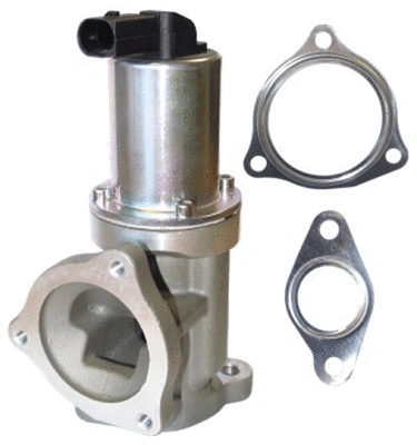 EGR Valve (TOP11450006)