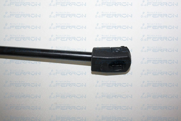 Gas Spring, bonnet
