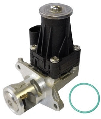 EGR Valve (TOP11450034)