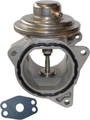 EGR Valve (TOP11450020)