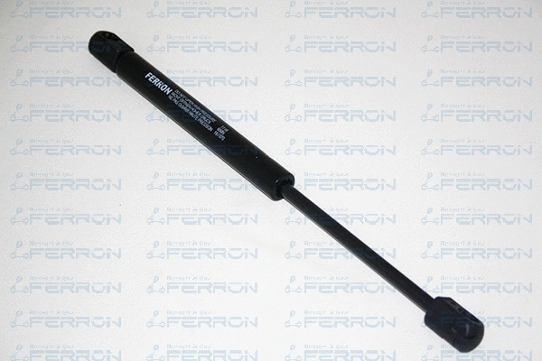 Gas Spring, boot/cargo area (1118)