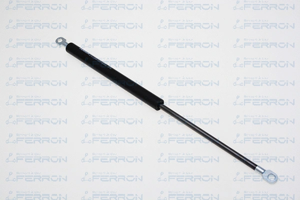 Gas Spring, bonnet (1722)
