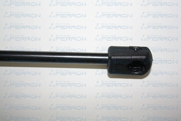 Gas Spring, boot/cargo area